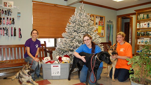 CHRISTMAS CHEER: The Picayune Veterinary Clinic is hosting a toy drive in conjunction with Crossroads Food Pantry in Poplarville until Dec. 11. Pictured from front left are Minka, Kipper and Remy. From back left are Christina Seal, Caitlin Palmer and Chantelle Lege.  Photo by Cassandra Favre 