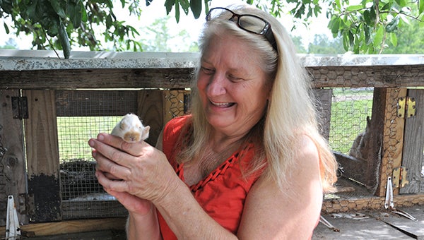 BABY ANIMALS: Cathy Edwards of Garden of Eden Ranch holds a newborn bunny. She uses animals to provide therapy to families who have experienced sexual abuse.  Photos by Cassandra Favre 